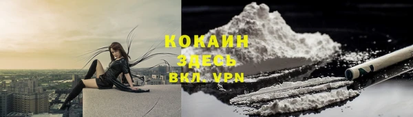 трава Арсеньев