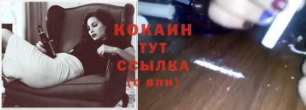 трава Арсеньев