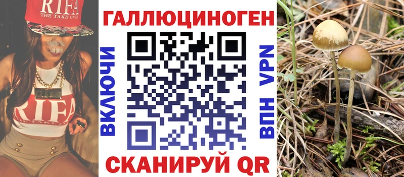 маркетплейс формула  Кораблино  Псилоцибиновые грибы прущие грибы 